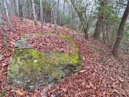 32843948