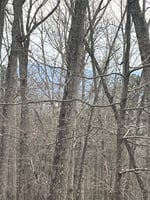 32844211