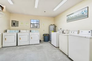 32851489