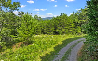 32857499