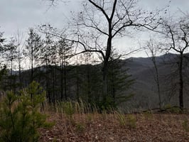 32859774