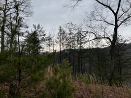 32859775