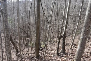 32861095