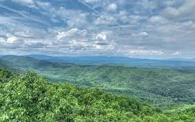 32863385
