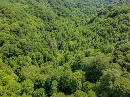 33207507