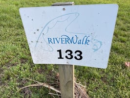32866856