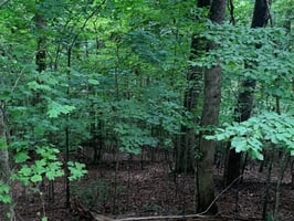32869241