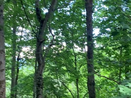 32869240