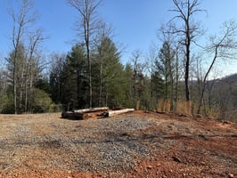 32871339