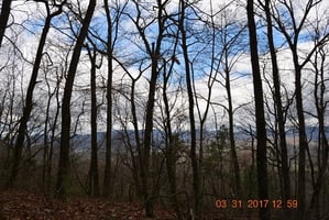 32871309