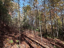 32871911