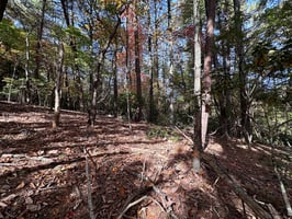 32871929