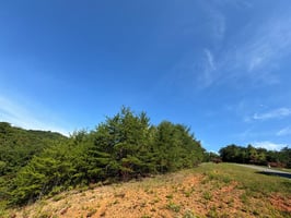 32872538