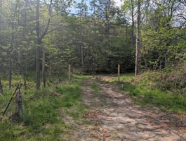 32873900