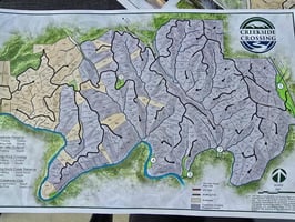32874038