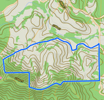 32874229
