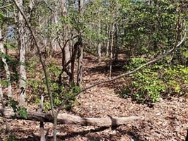 32874321
