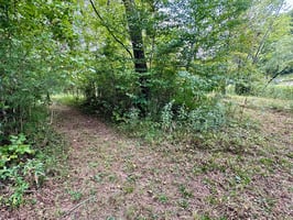 32874493