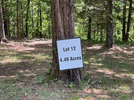 32874937