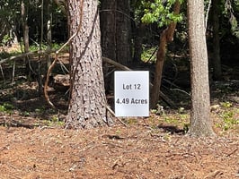 32874919