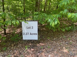 32875010