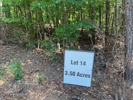32875086