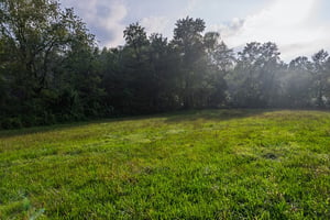 32875434