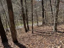32876232