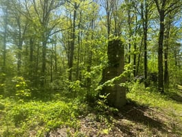 32876748