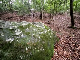 32878752