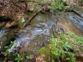32878740