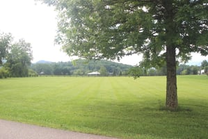 32879388