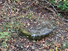 32879573