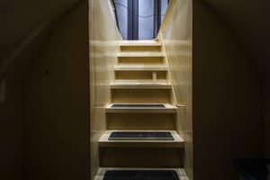 32883503