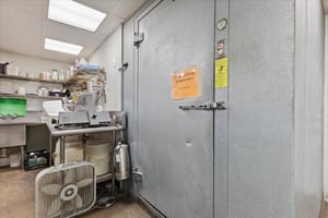 32895517