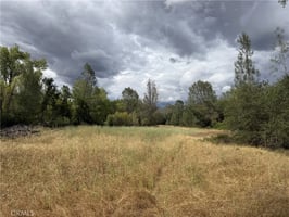 33172629