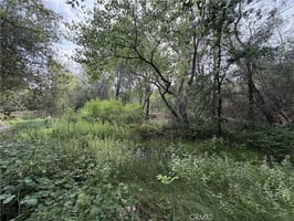 33172609
