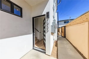 32903338