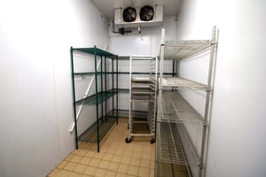 32895481