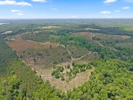 32890052