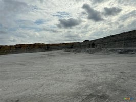 32890067