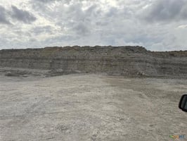 32890068