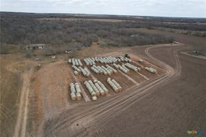 32890080