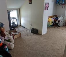 32893634