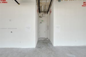 32894243