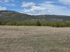 32896203