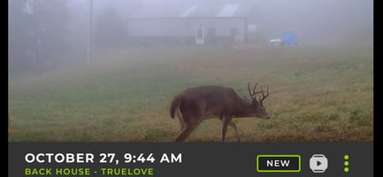 32897195