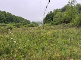 32900269