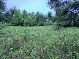 32900279
