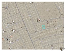 32900450